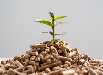 Bio-Mass Pellets