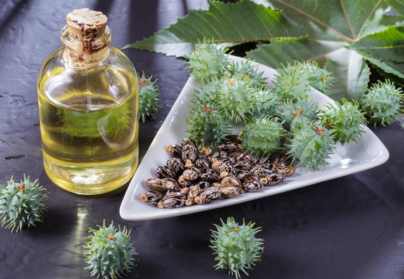 From Seed to Export: Stories Behind Our Quality Products